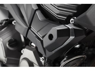 protektor Kawasaki Z 800 (12-16)